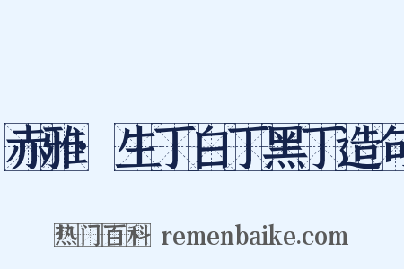 赤雅·生丁白丁黑丁造句是什么意思的图片